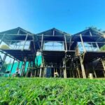 &ldquo;La Tribu&rdquo;