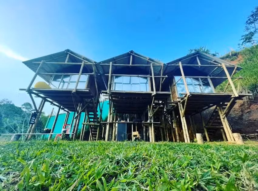 &ldquo;La Tribu&rdquo;