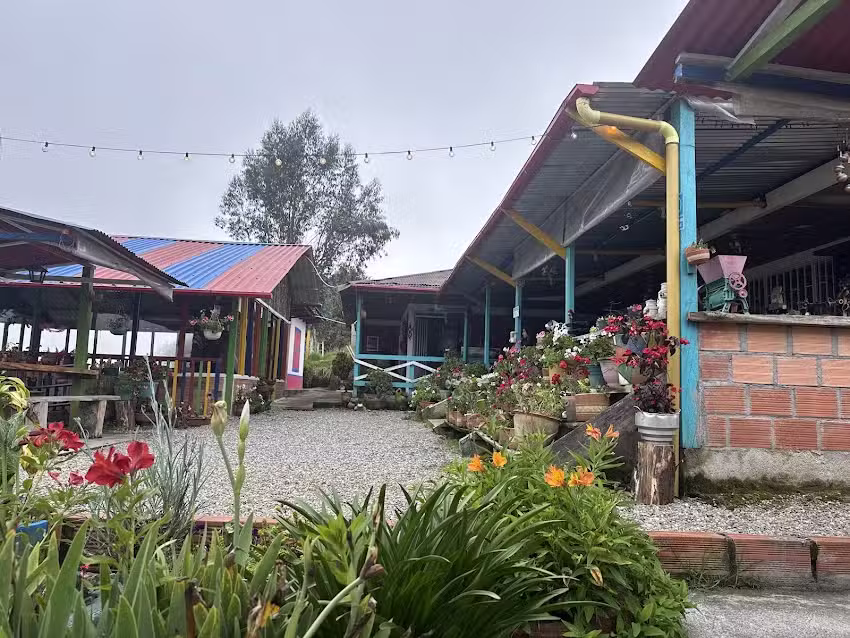 La vaca fifi