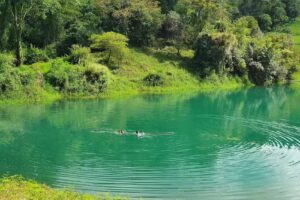 Laguna Azul vereda Santa Clara corregimiento de Cincelada