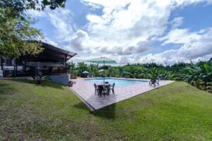 Las Betulias del Caf&eacute;