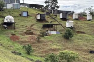 Las Hamacas Exoticus