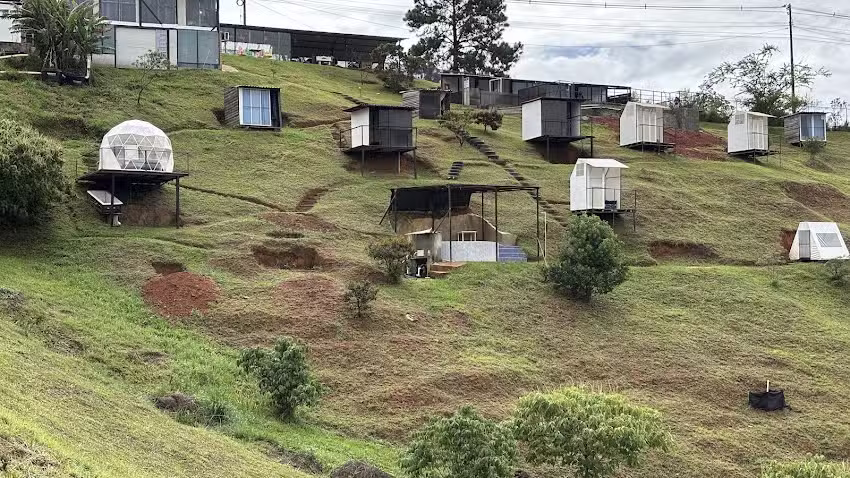 Las Hamacas Exoticus