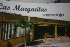 Las margaritas