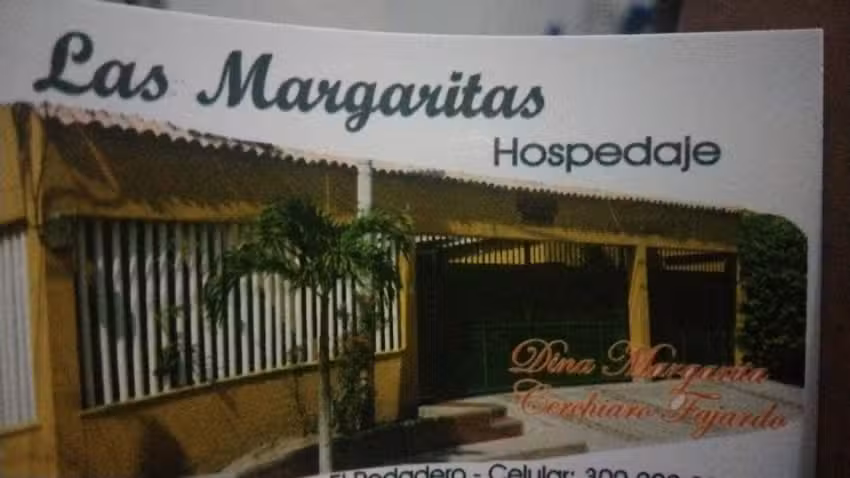 Las margaritas