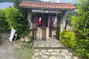 Las margaritas en la vega