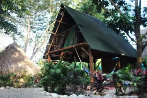 Los Almendros Hostel Palomino