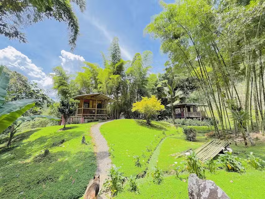 LOS GULUNGOS LODGE &bull; Caba&ntilde;as &bull; Hostal