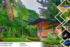 Los Palmares Hostel