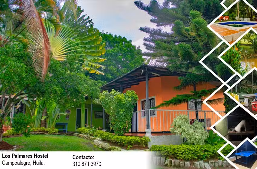 Los Palmares Hostel