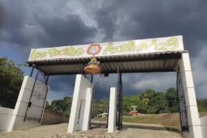 Los Pocitos Azufrados De Tocaima