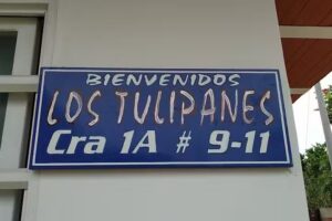 Los Tulipanes