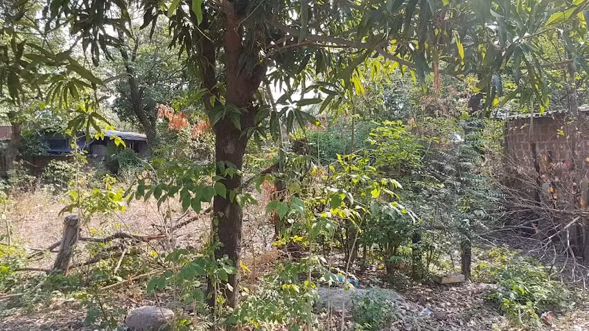 Lote barrio Hernan Gomez