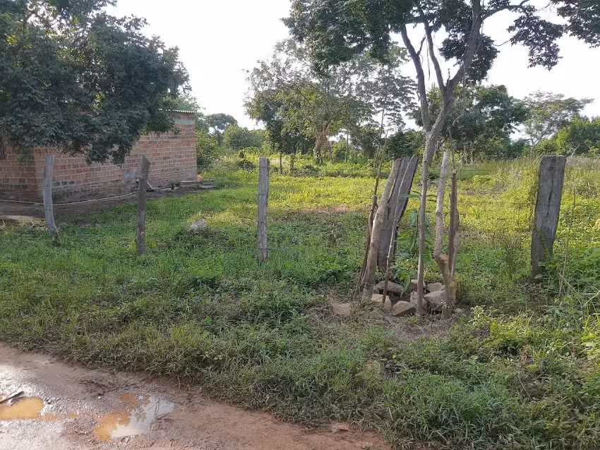 Lote Jesucristo es el Se&ntilde;or