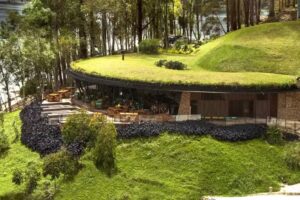 Lux&eacute; by The Charlee (Caba&ntilde;as)