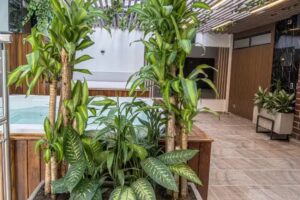 Luxury Apartments Prana by Cadissa