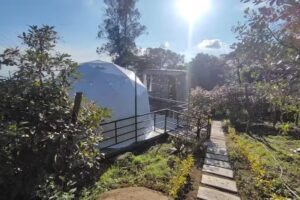 Luz de Luna Glamping