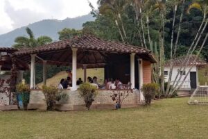Manantiales finca eco
