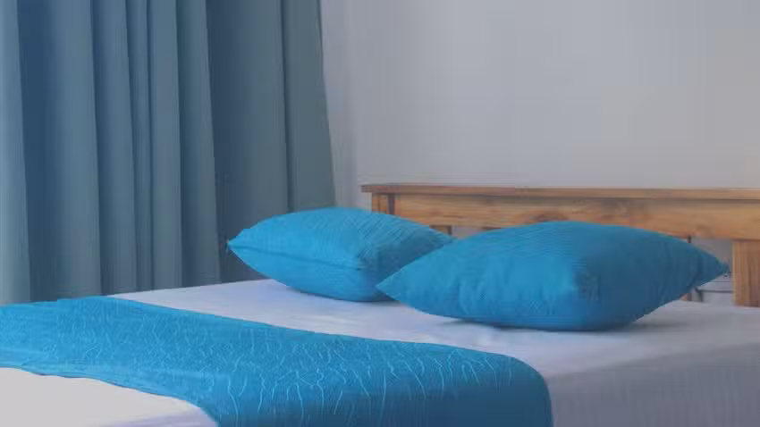 Mango Tree Island 420