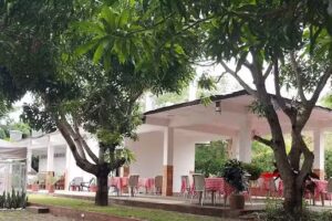 Mang&uuml;e&ntilde;a Alojamiento Rural