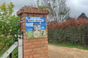 Mano de Oso: Lupino, Yarumo y Encenillo