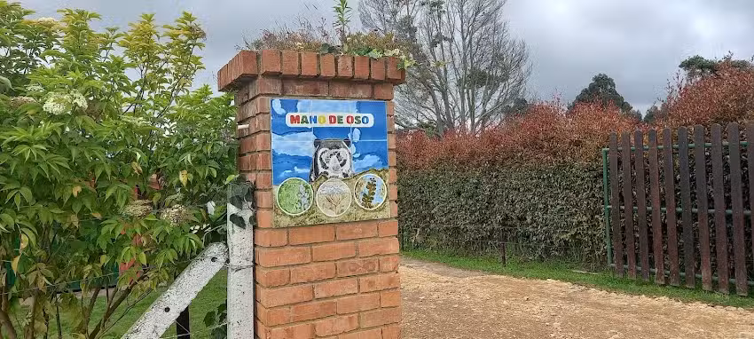 Mano de Oso: Lupino, Yarumo y Encenillo