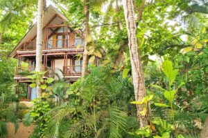 Masaya Tayrona & Beach Club