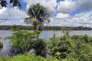 MI TURISMO VAUPES S.A.S