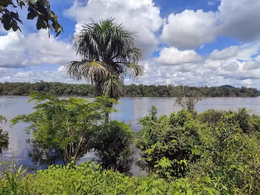 MI TURISMO VAUPES S.A.S