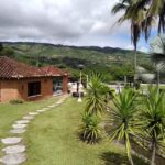 Monkey Hostel
