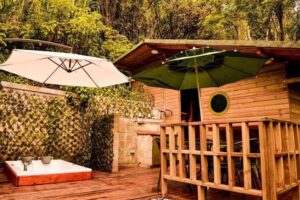 Montecedro Caba&ntilde;as