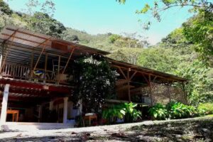 Montezuma Rainforest Ecolodge