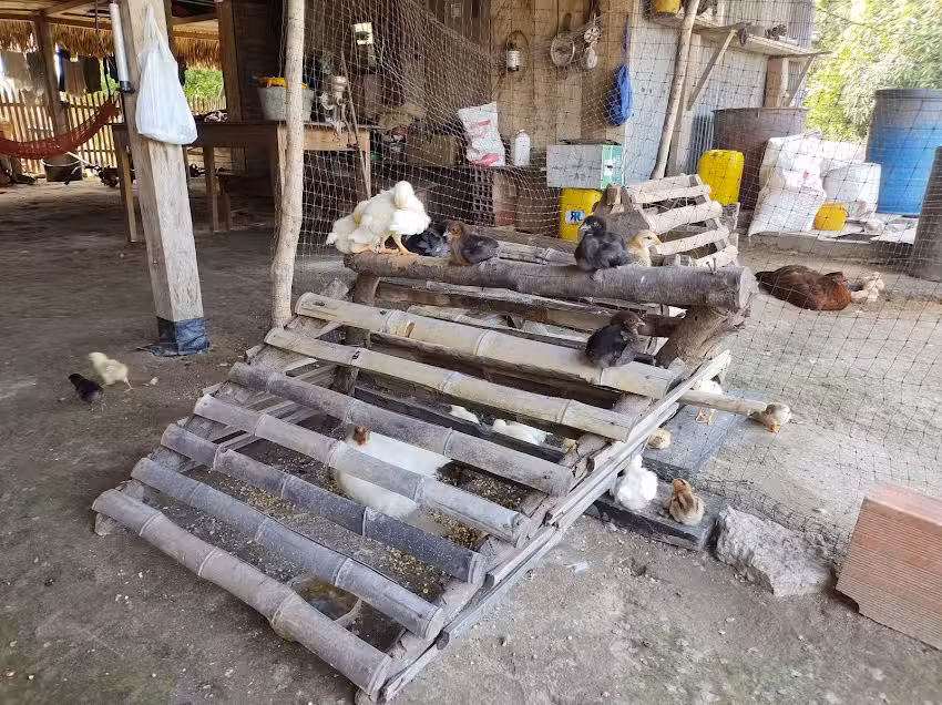 MOTEL REY DE CORAZONES