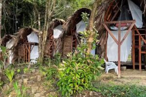 Nativo Home Hostel y Glamping