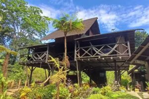 Nuquí Mágico en la Reserva Natural La Chocoana