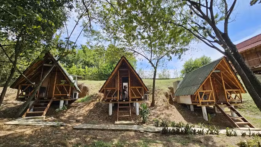 Oasis del ca&ntilde;averal