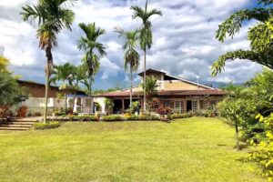 Oto&ntilde;o Y Primavera