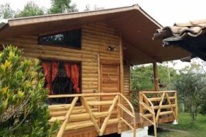 PALO ALTO SAN AGUSTIN