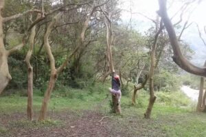 Para&iacute;so Escondido Santa Trinidad