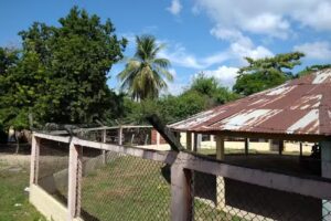 pedregoza la mejor tierra