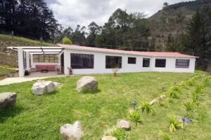 Pinares Del Carrizalito