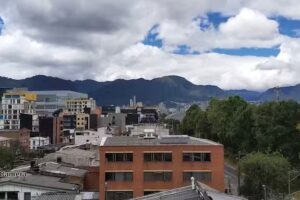 PINES LOFT Apartamentos