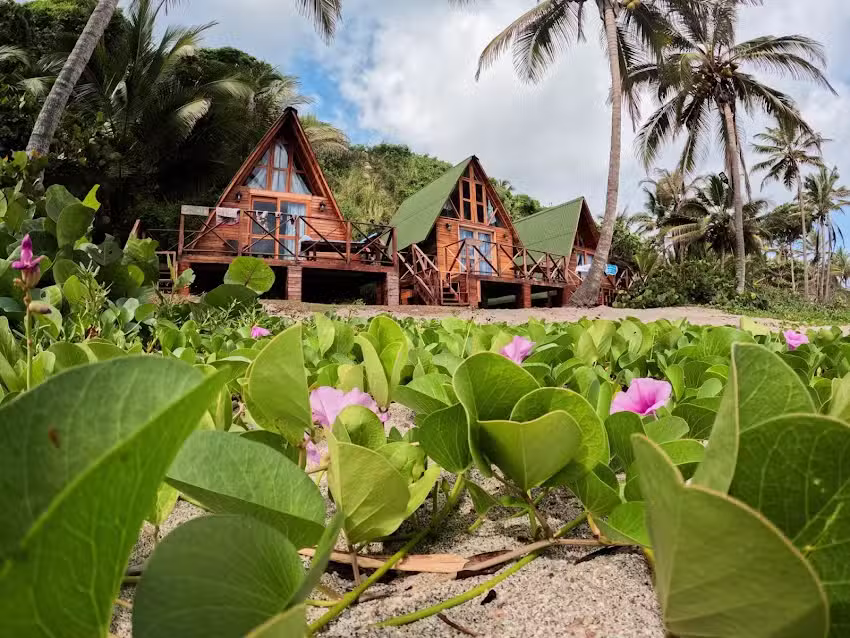 Playa Los &Aacute;ngeles
