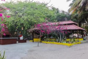 Playa Samara Hostel