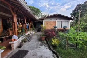 Posada Casa del &aacute;rbol