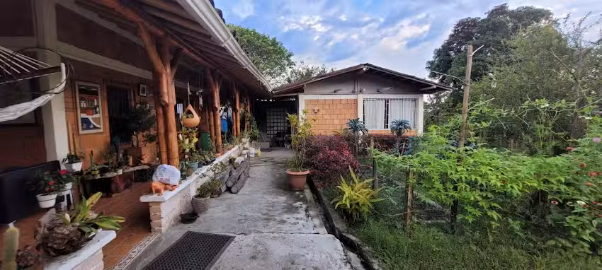 Posada Casa del &aacute;rbol