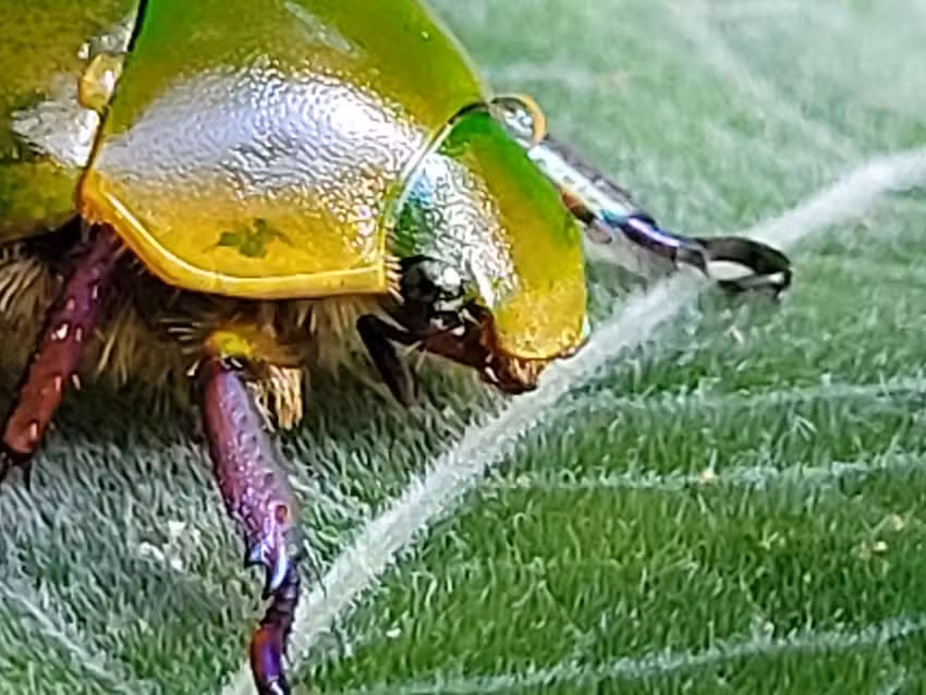 Posada Ecoturistica Rogitama