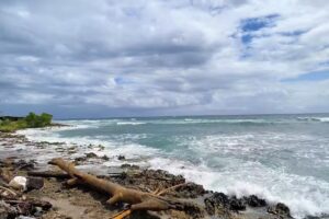 Posada Nativa Ohana Lodging