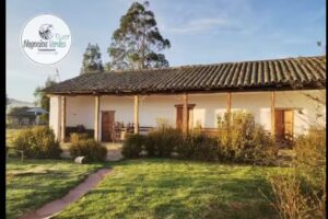 Posada Turistica Altamisal