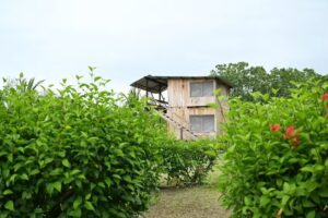 Posada turistica Villainesita